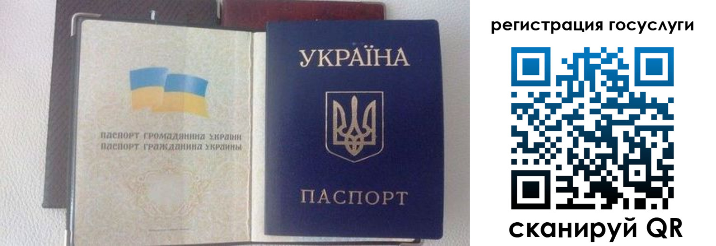 прописка для работы в Химках
